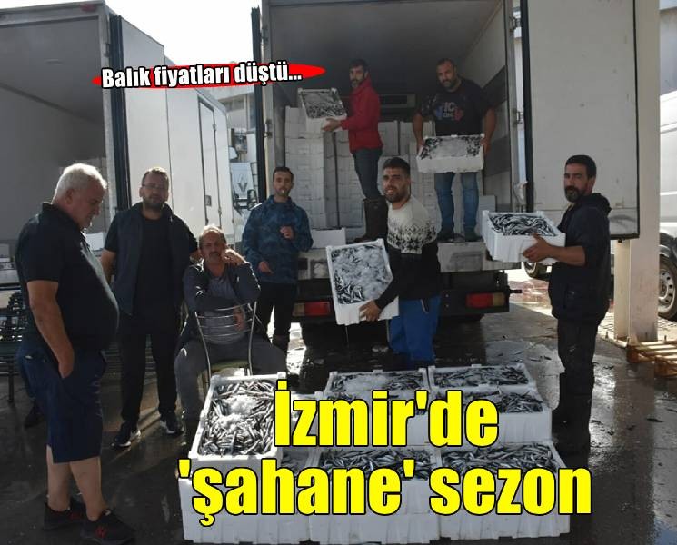 İzmir'de balık fiyatları düştü.. Palamut halde 60, tezgahta 100 TL