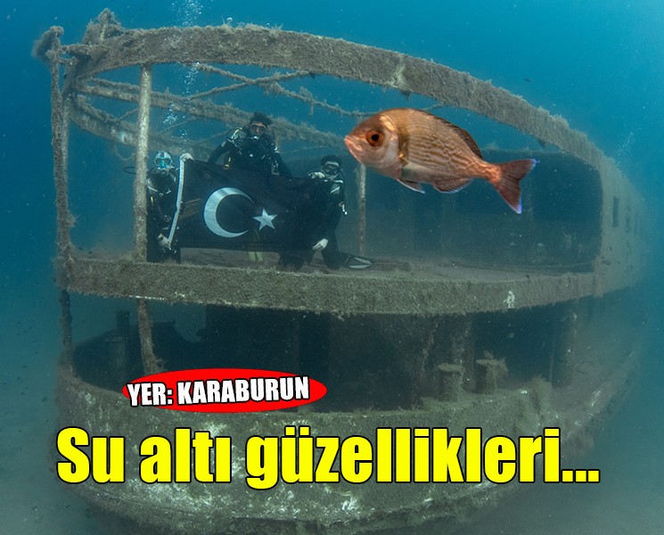 Karaburun'un su altı güzellikleri
