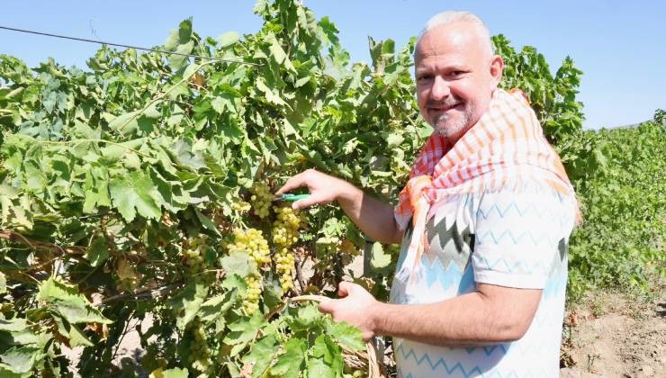 Menemen'de bağ bozumu gerçekleştirildi