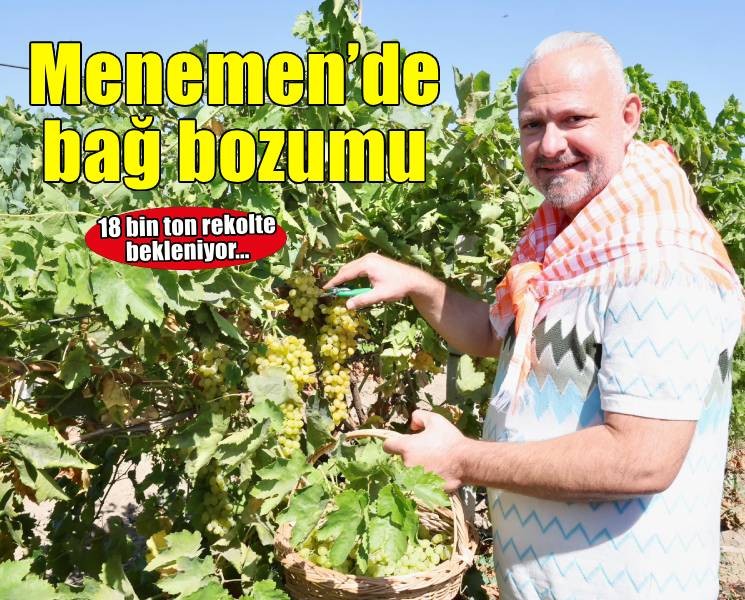 Menemen'de bağ bozumu gerçekleştirildi