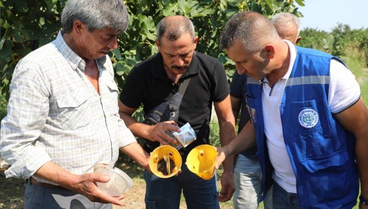 Muğla’da üreticinin emeğine çevre dostu koruma