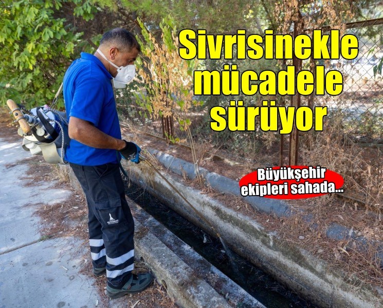 Sivrisinekle mücadele dört mevsim sürüyor