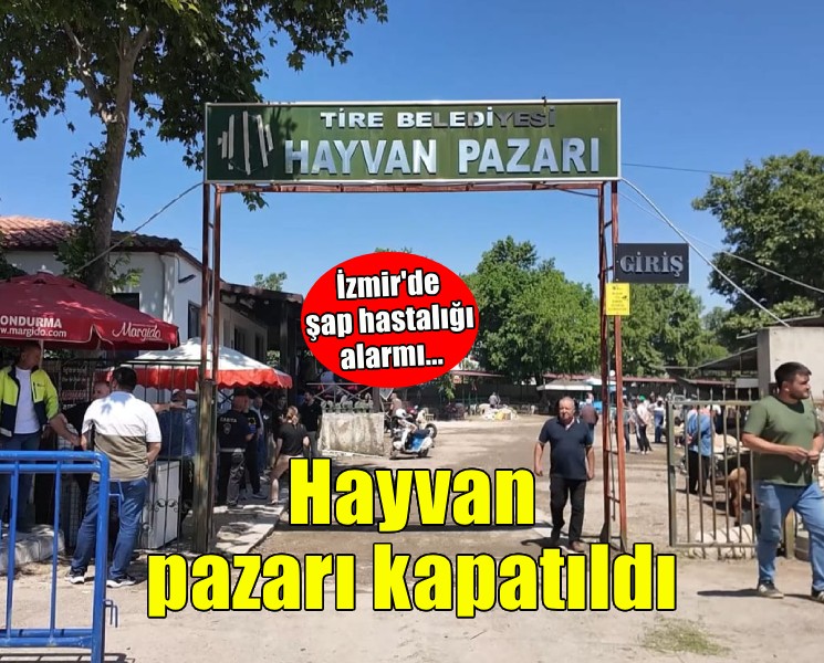 Tire Hayvan Pazarı, şap hastalığı sebebiyle yeniden kapatıldı