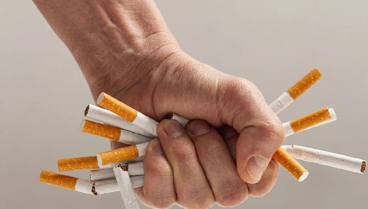 Tütün ürünleri için yeni dönem hazırlığı