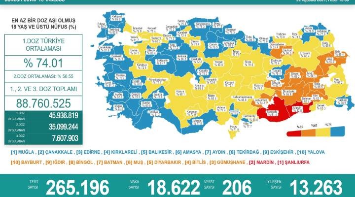 206 can kaybı, 18 bin 622 yeni vaka