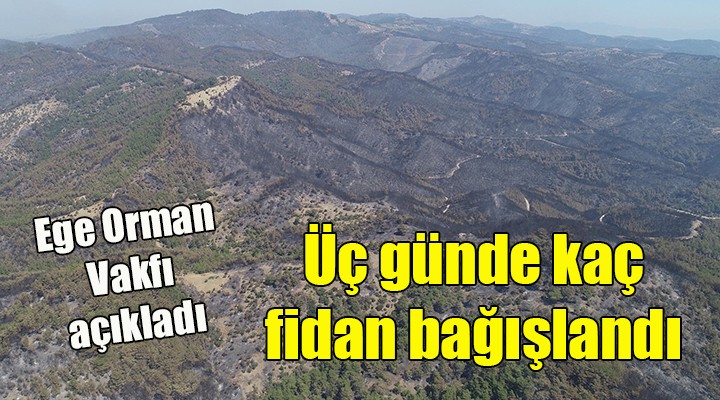 3 günde kaç fidan bağışlandı