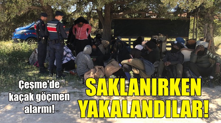 35 kişi çalıların arasında saklanırken yakalandı!