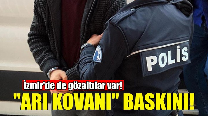 5 ilde  arı kovanı  operasyonu!