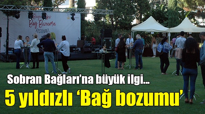 5 yıldızlı ‘Bağ bozumu’