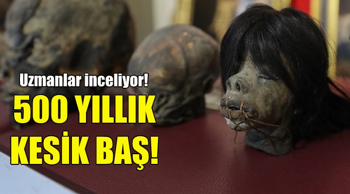 500 yıllık kesik başlar inceleniyor!