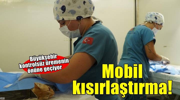 7 bin kediye mobil kısırlaştırma