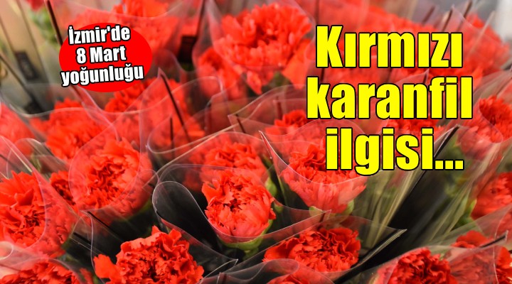 8 Mart'ta kırmızı karanfil yoğun talep görüyor