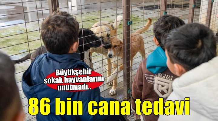 86 bin tedavi, 13 bin kısırlaştırma