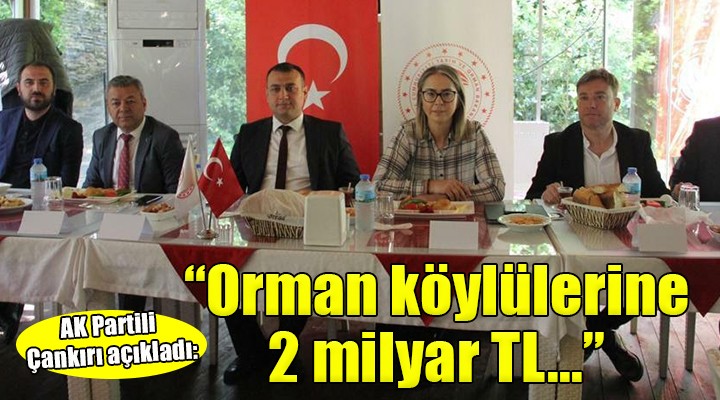 AK Partili Çankırı:  Orman köylülerine 2 milyar TL verilecek 