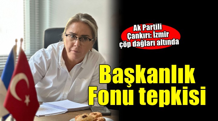 AK Partili Çankırı dan Başkanlık İnovasyon Fonu tepkisi