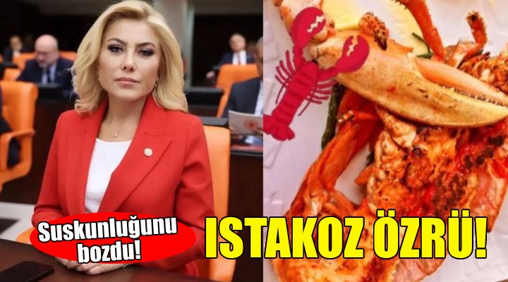AK Partili Şebnem Bursalı dan ıstakoz özrü!