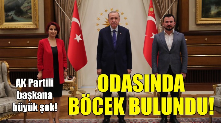 AK Partili başkanın odasında böcek bulundu!