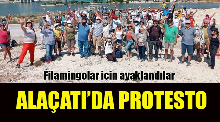 ALAÇATI SULAK ALANI NDA PROTESTO...  16 YIL ÖNCE VERİLEN ÇED RAPORUYLA FLAMİNGOLARIN CENNETİNİ TALAN EDİYORLAR 