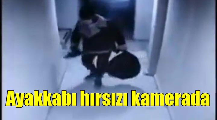 AYAKKABI HIRSIZI KAMERADA