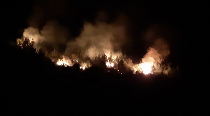 Adana da orman yangını!