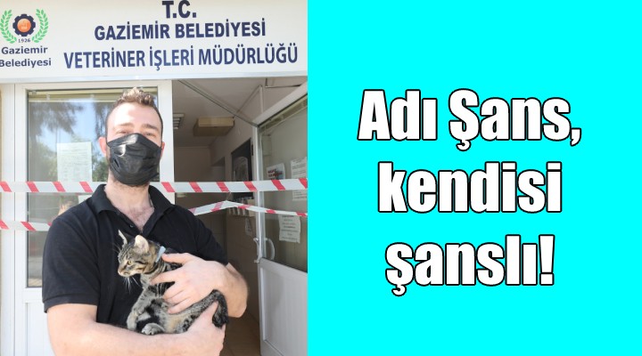 Adı Şans, kendisi şanslı