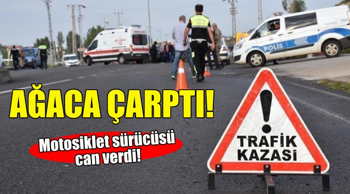 Ağaca çarptı... Motosiklet sürücüsü can verdi!