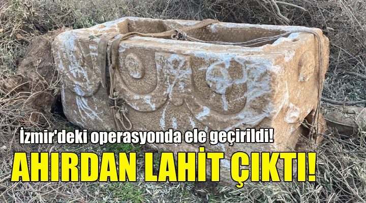 Ahırdan lahit çıktı!