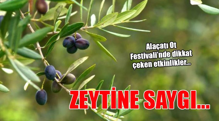 Alaçatı Ot Festivali’nde Zeytin’e saygı