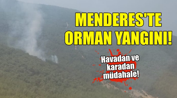 Alevler bu kez Menderes ten yükseldi!