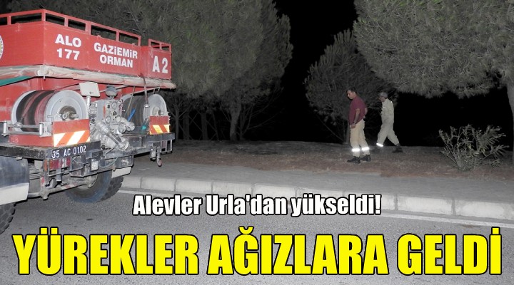 Alevler bu kez Urla dan yükseldi!