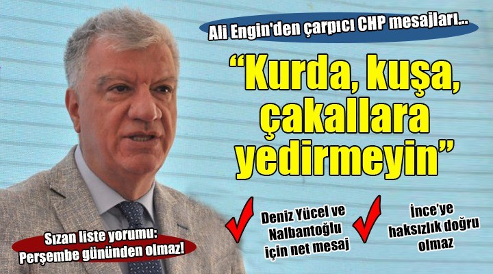 Ali Engin den çarpıcı CHP mesajları... KURDA, KUŞA, ÇAKALLARA YEDİRMEYİN!