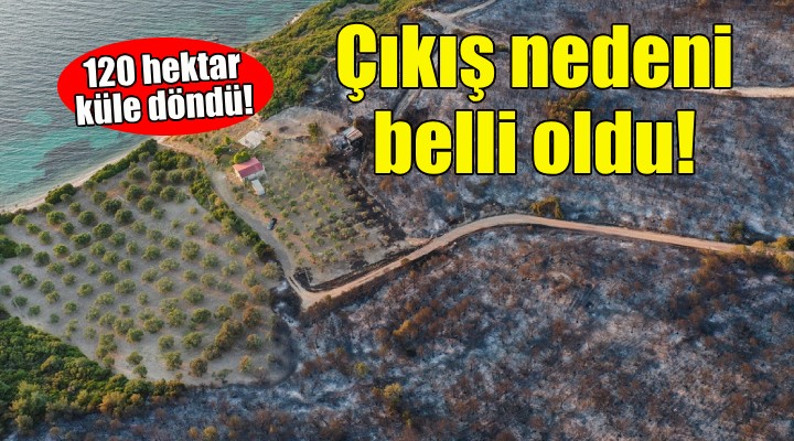 Aliağa daki yangının çıkış nedeni belli oldu!