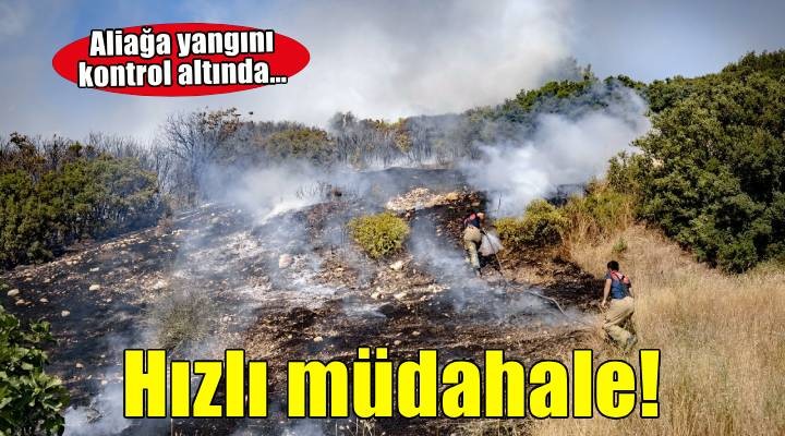 Aliağa’daki orman yangını dakikalar içinde kontrol altına alındı