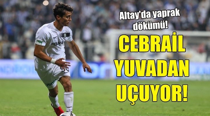 Altay da Cebrail yuvadan uçuyor!