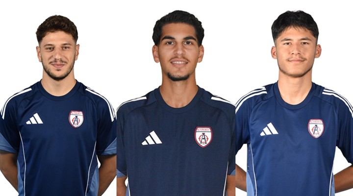 Altınordu da 3 bilet kesildi