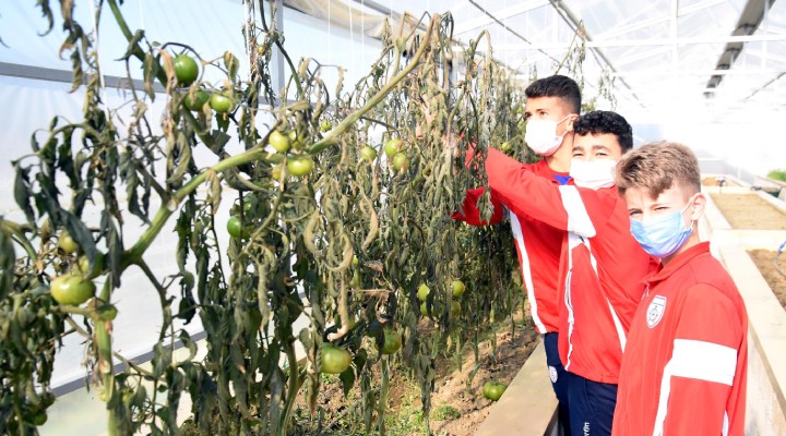 Altınordu dan kuraklığa karşı örnek farkındalık