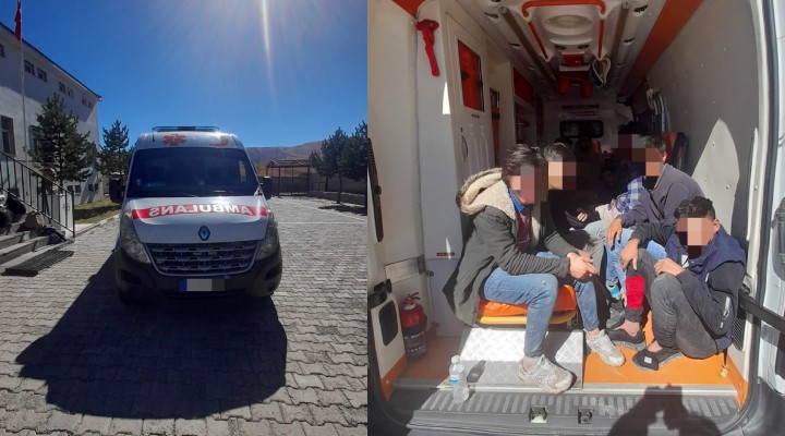 Ambulanstan 12 kaçak göçmen çıktı!