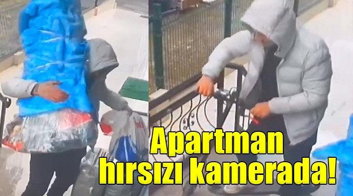 Apartman hırsızı kameraya yakalandı!