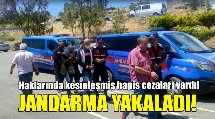 Aranan şahıslar jandarmadan kaçamadı!