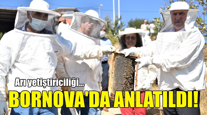 Arı yetiştiriciliği Bornova’da anlatıldı!