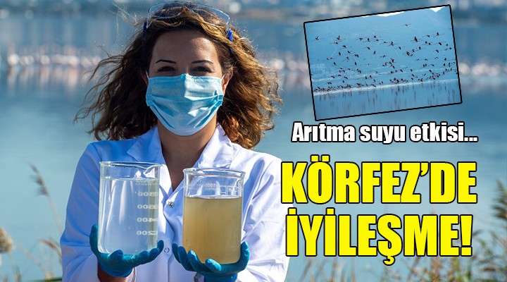 Arıtma suyu etkisi... KÖRFEZ DE İYİLEŞME!