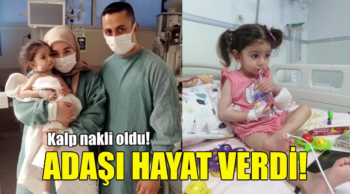 Asel e adaşı hayat verdi!