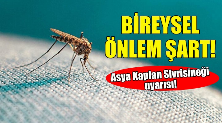 Asya Kaplan Sivrisineği uyarısı!