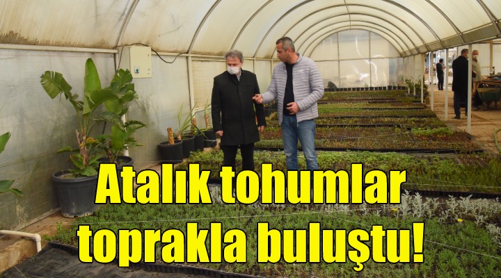 Atalık tohumlar toprakla buluştu!