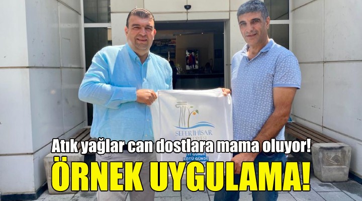 Atık yağlar can dostlara mama oluyor!