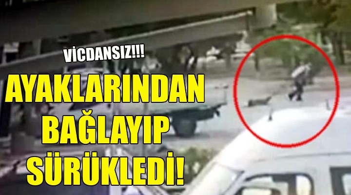 Ayaklarından bağlayıp sürükledi!