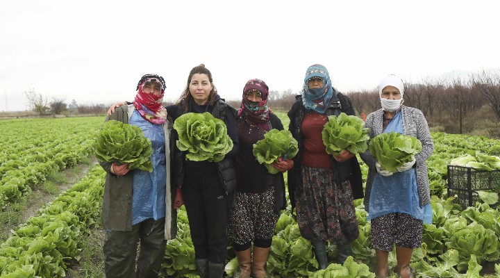 Aydın Büyükşehir Belediyesin den çiftçilere destek!