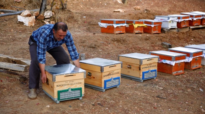 Aydın Büyükşehir den arıcılara can suyu!