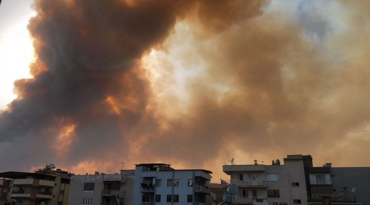 Aydın da büyük yangın: 50 ye yakın ev tahliye edildi