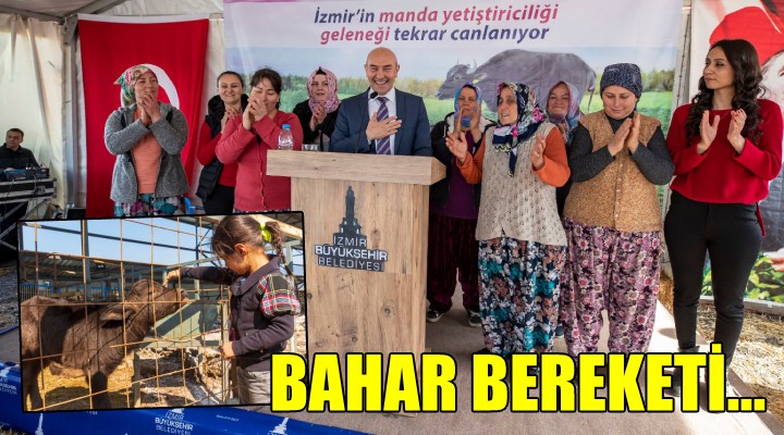 BAHAR BEREKETİ...